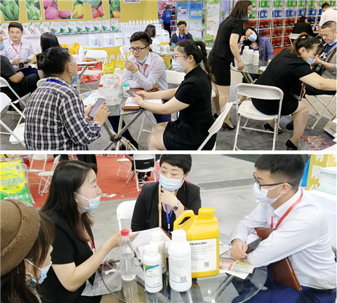 植保會，拉姆拉，翠姆