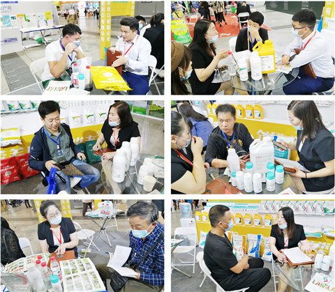 植保會，拉姆拉，翠姆