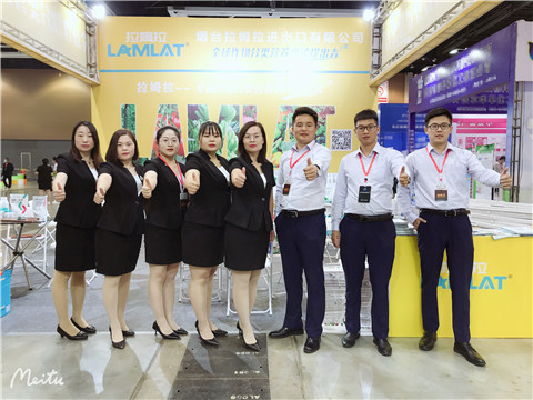 植保會，拉姆拉，翠姆