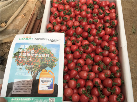 微生物菌劑，磷酸二氫鉀，翠姆，拉姆拉