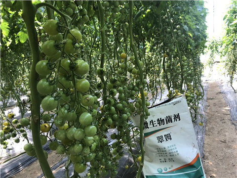 微生物菌劑，磷酸二氫鉀，翠姆，拉姆拉