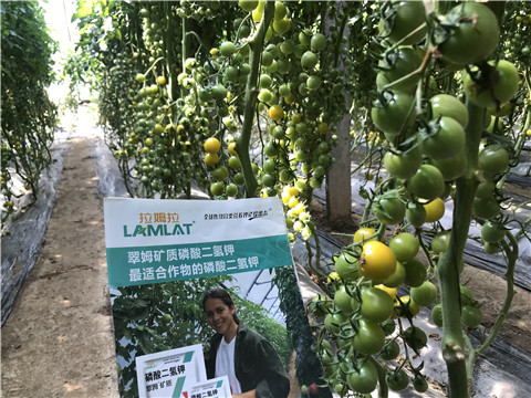 微生物菌劑，磷酸二氫鉀，翠姆，拉姆拉