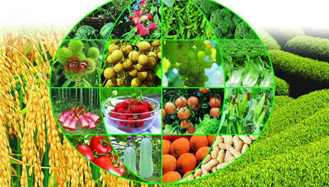 水溶肥，拉姆拉，翠姆