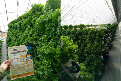 水溶肥，拉姆拉，翠姆