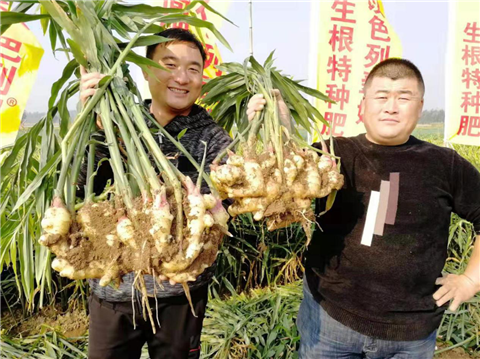 水溶肥，翠姆，拉姆拉