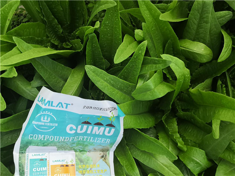 水溶肥，翠姆，拉姆拉