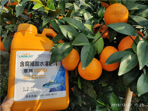 水溶肥，翠姆，拉姆拉