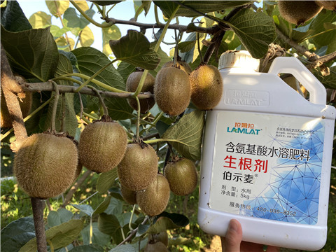 水溶肥，拉姆拉