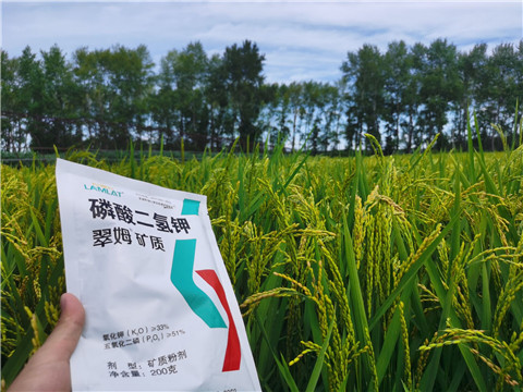 磷酸二氫鉀，拉姆拉，翠姆