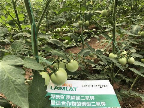 磷酸二氫鉀，拉姆拉，翠姆