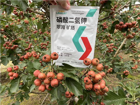 磷酸二氫鉀，拉姆拉，翠姆