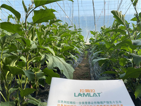 進(jìn)口水溶肥，翠姆，拉姆拉