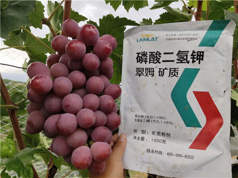 進口水溶肥，拉姆拉，翠姆