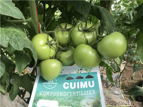 葉面肥，磷酸二氫鉀，微生物菌劑，翠姆，拉姆拉