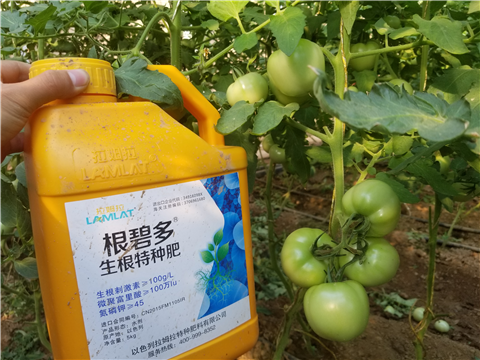 葉面肥，磷酸二氫鉀，微生物菌劑，翠姆，拉姆拉