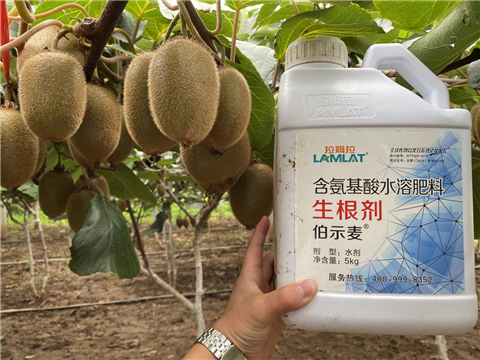 水溶肥，生根劑，微生物菌劑，伯示麥，拉姆拉