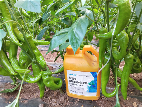 水溶肥，拉姆拉