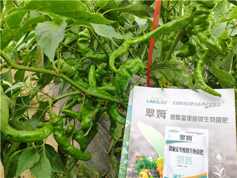 水溶肥，拉姆拉