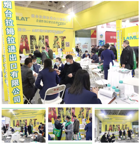 水溶肥，拉姆拉，翠姆