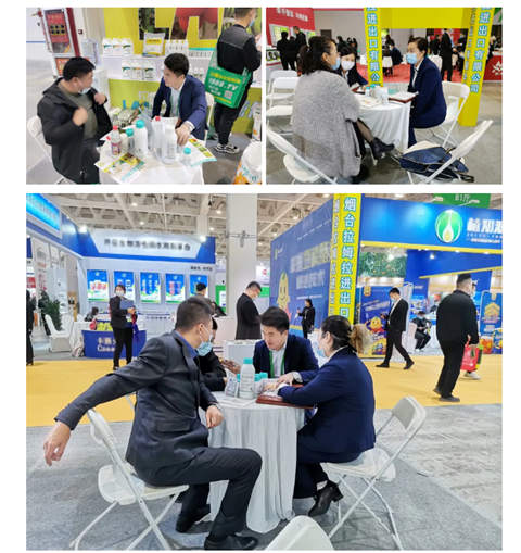 水溶肥，拉姆拉，翠姆