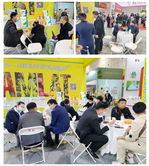 水溶肥，拉姆拉，翠姆