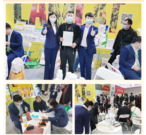 水溶肥，拉姆拉，翠姆