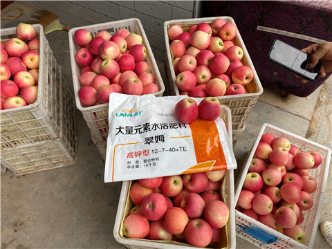 水溶肥，大量元素水溶肥，翠姆，拉姆拉