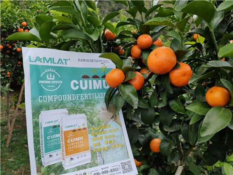 顆粒水溶肥，拉姆拉，翠姆