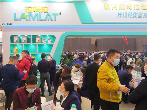 進(jìn)口水溶肥，拉姆拉，翠姆