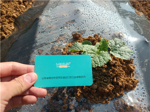 水溶肥，拉姆拉