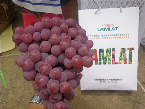 葉面肥，磷酸二氫鉀，鈣肥，翠姆，拉姆拉