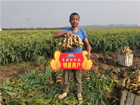 進(jìn)口水溶肥，拉姆拉，翠姆