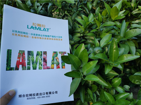 水溶肥，拉姆拉，翠姆