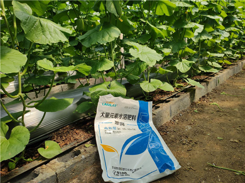 大量元素水溶肥，拉姆拉，翠姆