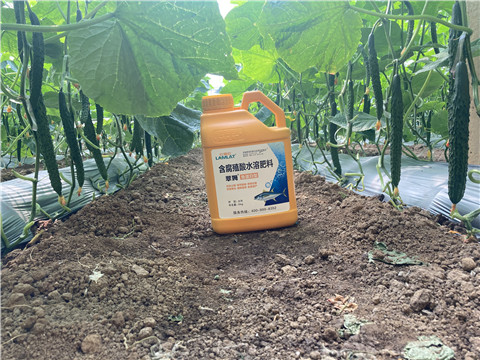 水溶肥，拉姆拉，翠姆