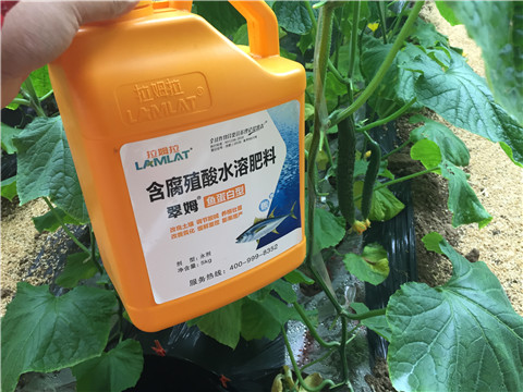 滴灌肥，拉姆拉，翠姆