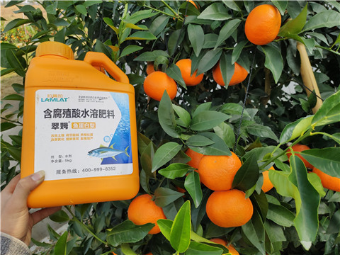 滴灌肥，拉姆拉，翠姆