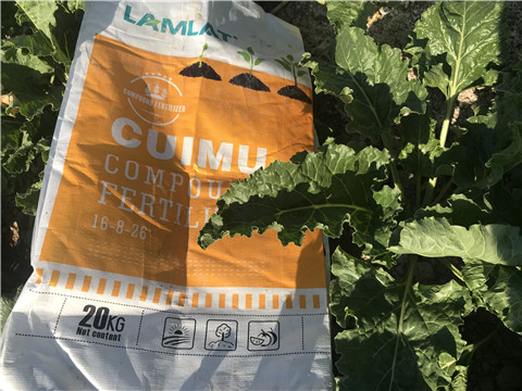 顆粒水溶肥，拉姆拉，翠姆