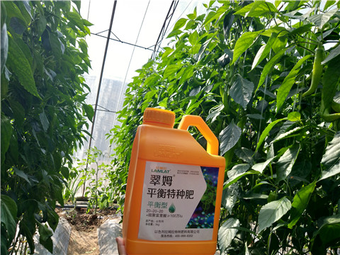 滴灌肥，拉姆拉，翠姆