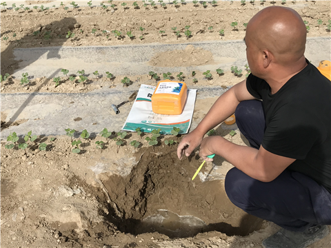 水溶肥，拉姆拉，翠姆