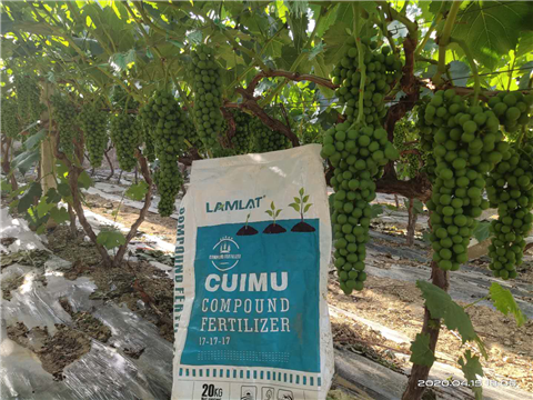 水溶肥，拉姆拉，翠姆