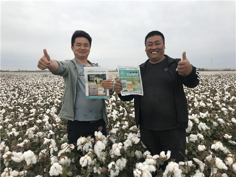棉花，水溶肥，拉姆拉，翠姆