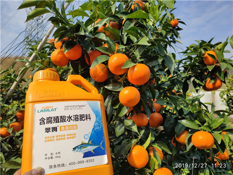 水溶肥，拉姆拉，翠姆