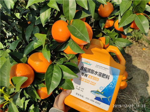 水溶肥，拉姆拉，翠姆