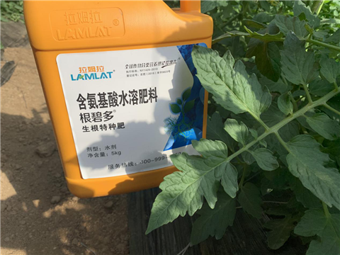 水溶肥，拉姆拉，翠姆