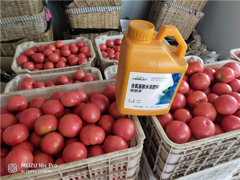 水溶肥，拉姆拉，翠姆