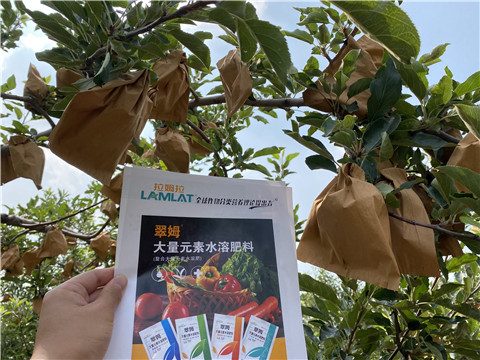 大量元素水溶肥，拉姆拉，翠姆