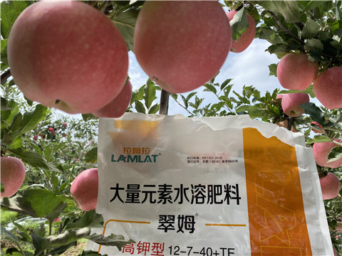 大量元素水溶肥，拉姆拉，翠姆