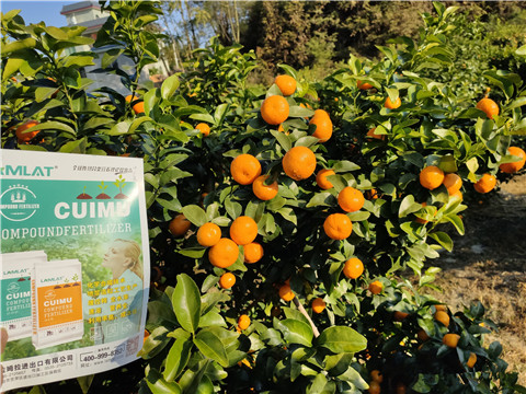 進口水溶肥，拉姆拉，翠姆