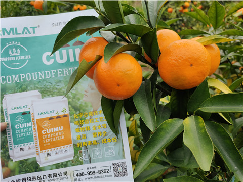 顆粒水溶肥，拉姆拉，翠姆